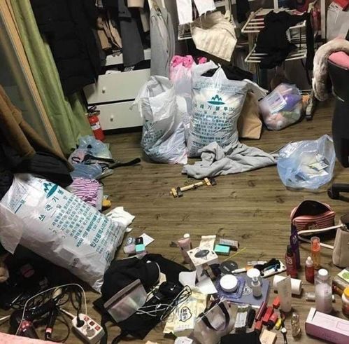 吉米日式搬家 解鎖便捷高效的搬家新模式